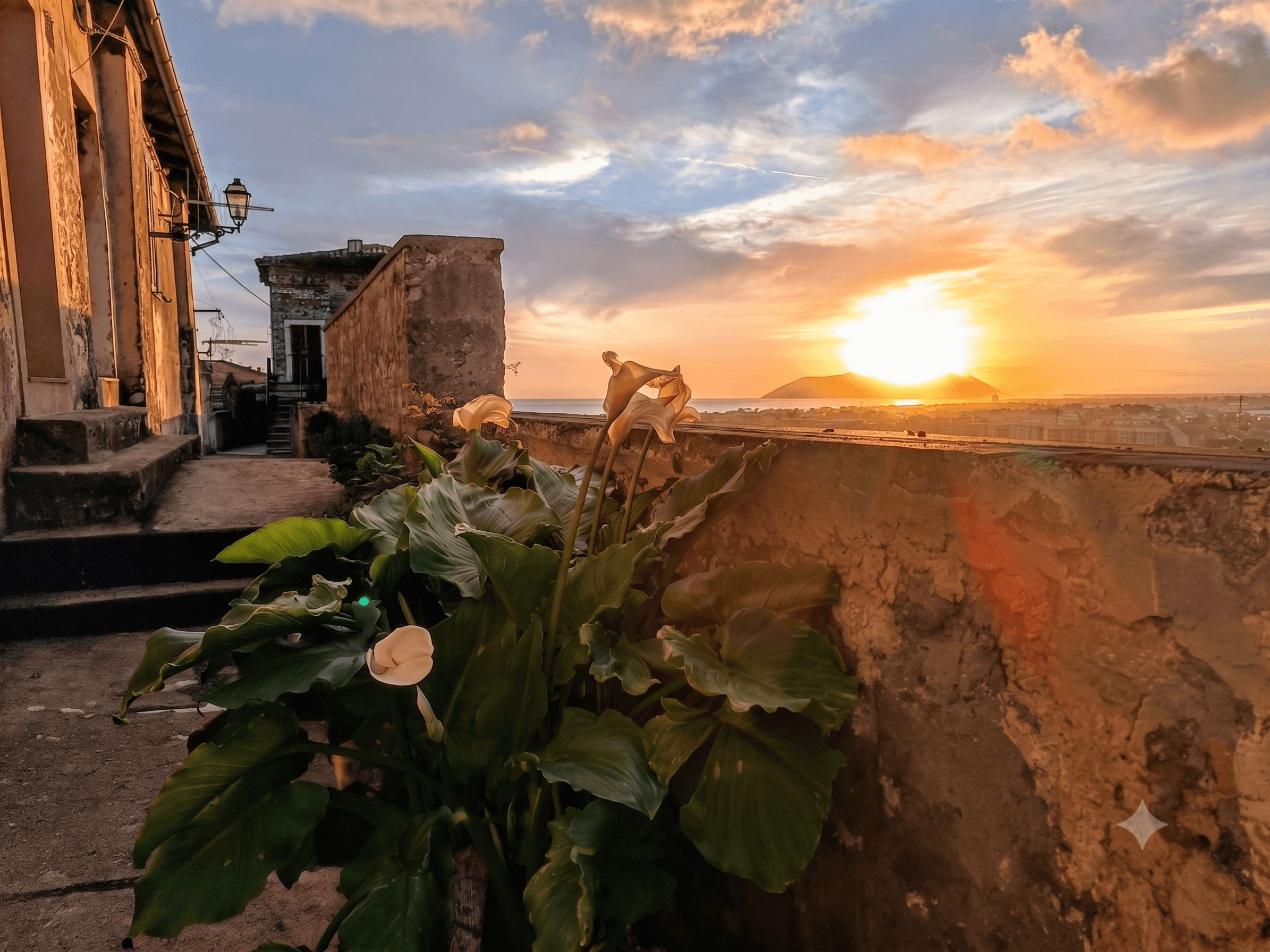 Vista Panoramica